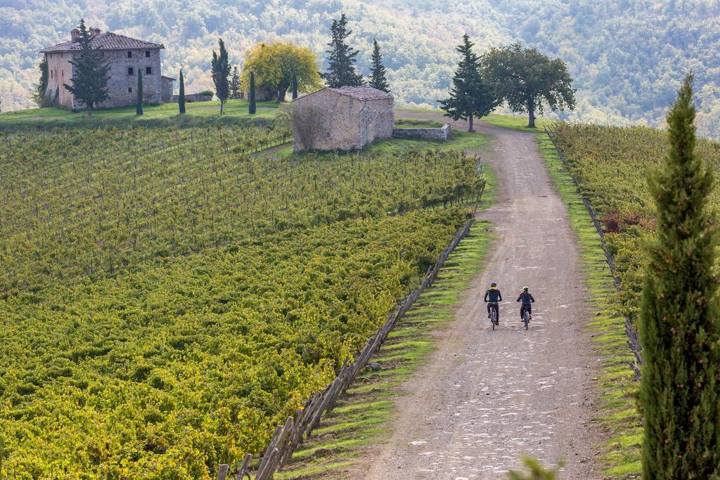 Villa Di Capovento Castellina in Chianti Exteriér fotografie