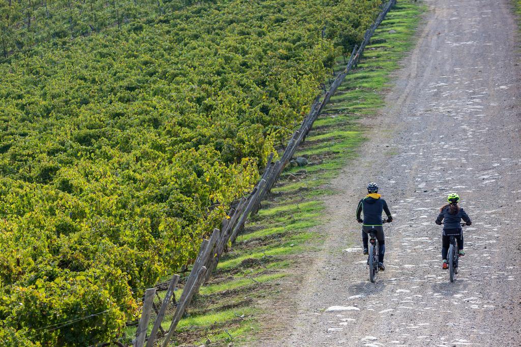 Villa Di Capovento Castellina in Chianti Exteriér fotografie